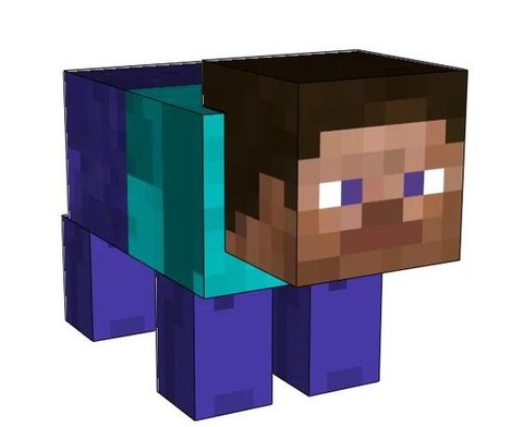 我的世界怎么做史蒂夫[图2]